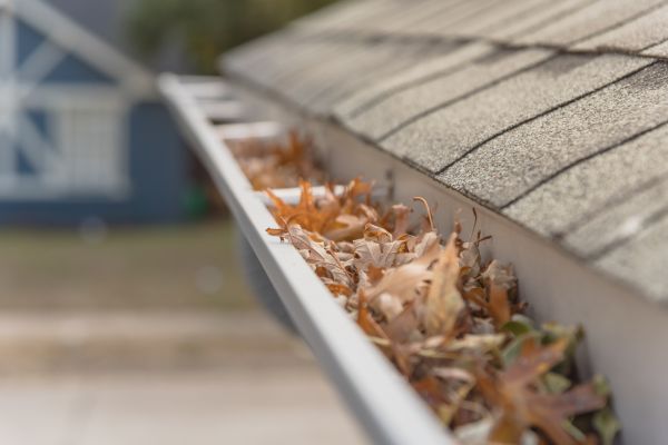 Leaf Barrier Installation in Omaha